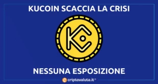 CEO KUCOIN SALVO