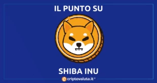 SHIB SI AGGIORNA