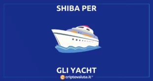 SHIBA YACHT