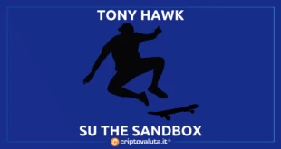 Tony Hawk the sandbox