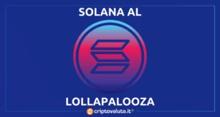 SOLANA LOLLAPALOOZA NFT