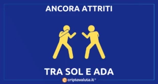 CARDANO SOLANA FIGHT