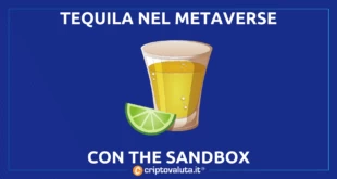 THE SANDBOX TEQUILA