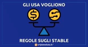 USA REGOLE STABLE