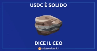 CEO USDC CHIARISCE