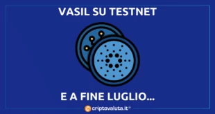 VASIL TESTNET OK