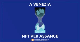 Venezia Assange NFT