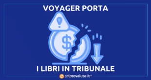 Voyager libri tribunale