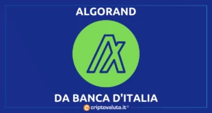 ALGORAND BANCA D'ITALIA