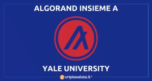 ALGORAND YALE