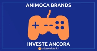 ANIMOCA INVESTIMENTO