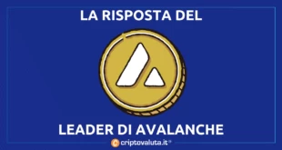 RISPOSTA LEADER AVALANCHE