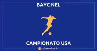 BAYC USA