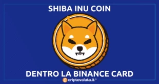 SHIBA INU COIN BINANCE CARD