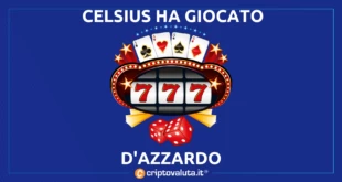 CELSIUS AZZARDO