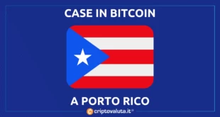 A PORTORICO CASE IN BITCOIN