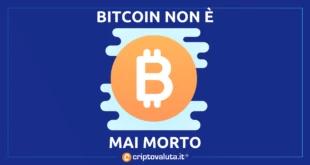 BITCOIN MAI MORTO