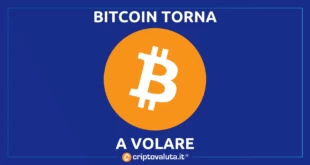 BITCOIN VOLA