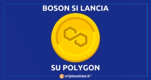 BOSON POLYGON