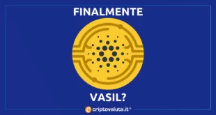 CARDANO VASIL