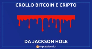 IL CROLLO BITCOIN CRIPTO