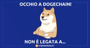 DOGECOIN DOGECHAIN