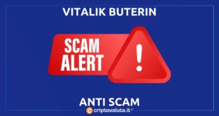 scam buterin