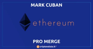 MARK CUBAN PRO MEREG