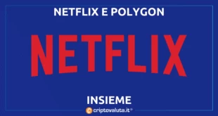 NETFLIX POLYGON