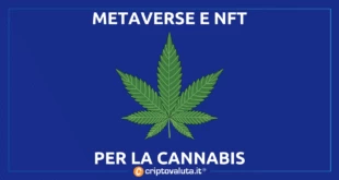 NFT METAVERSE CANNABIS