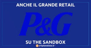 RICERCA CONSUMATORI THE SANDBOX