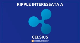 Ripple Celsius