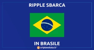 RIPPLE BRASILE