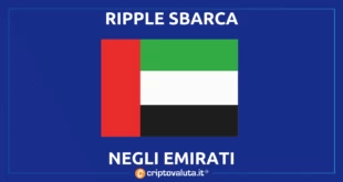 RIPPLE TRANLGO UAE