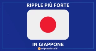 GIAPPONE RIPPLE