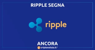 Ripple SEC