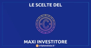 MAXI INVESTITORE CRIPTO