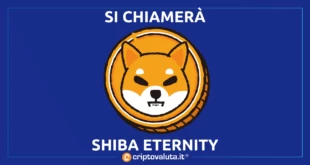 SHIBA GAME NOME