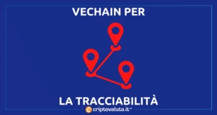 Vechain tracking alcolici