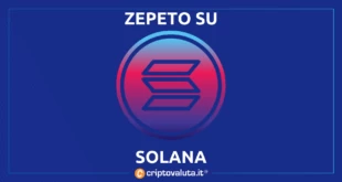 SOLANA ZAPATO