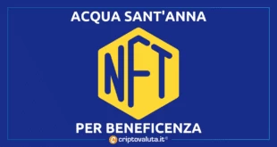 ACQUA SANT'ANNA NFT