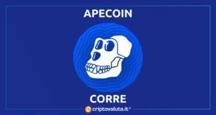 APECOIN BOOM