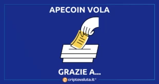 APECOIN VOLA