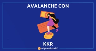 AVALANCHE KKR