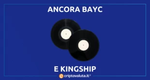 BAYC KINGSHIP BEYONCE