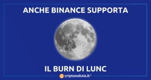 BINANCE SUPPORTA IL BURN