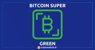 BITCOIN GREEN