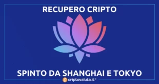 RECUPERO CRIPTO BITCOIN