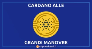 CARDANO VASIL