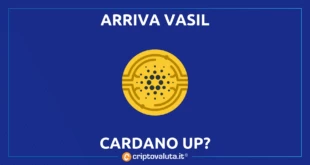 CARDANO VASIL